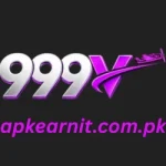 999V Game