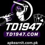 TD1947 Game
